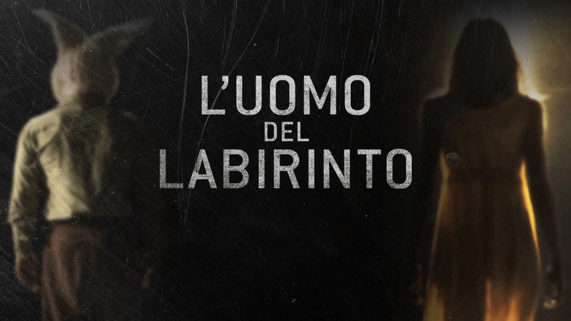 L'uomo del labirinto-poster